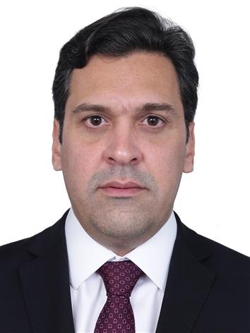 Isnaldo Bulhões Jr.